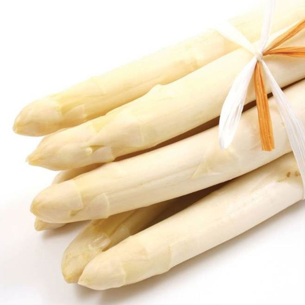 Espárrago Blanco 540g - Enlatados y Conservas La casa del bacalao